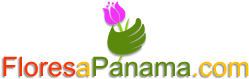 floresapanama.com